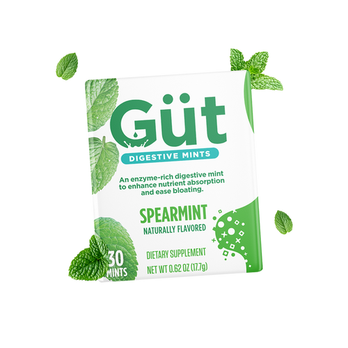 Digestive Mints